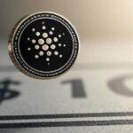 «Cardano a 10 dólares es realista»: Dan Gambardello