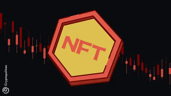 تتلاشى الضجيج مع تفقد منصات NFT المستخدمين