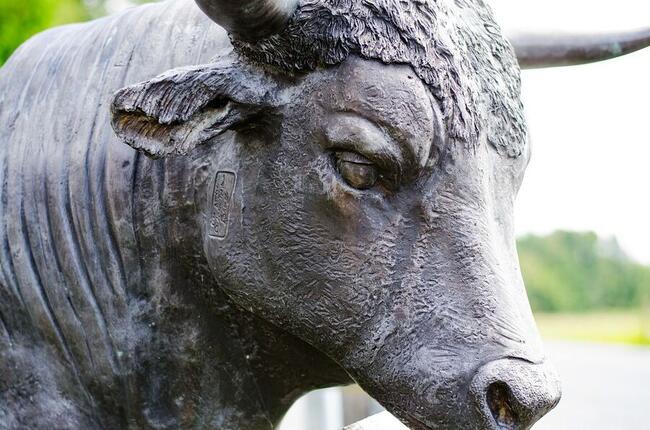 Crypto Exchange Bullish Collabora con Solana per Spingere le Stablecoin Istituzionali