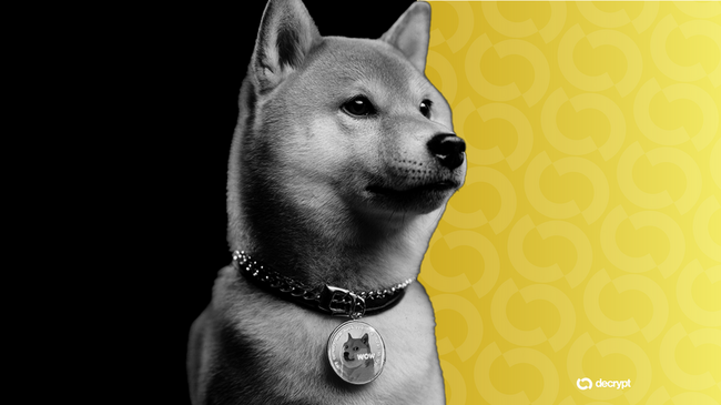 Bitcoin Treasury Firm Thumzup Considering Dogecoin, XRP Buys as Trump Jr. Invests