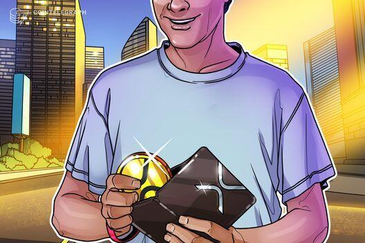 XRPのクジラ保有ウォレットが過去最多に　BTC価格高騰とともにアルトコインシーズン本格化か