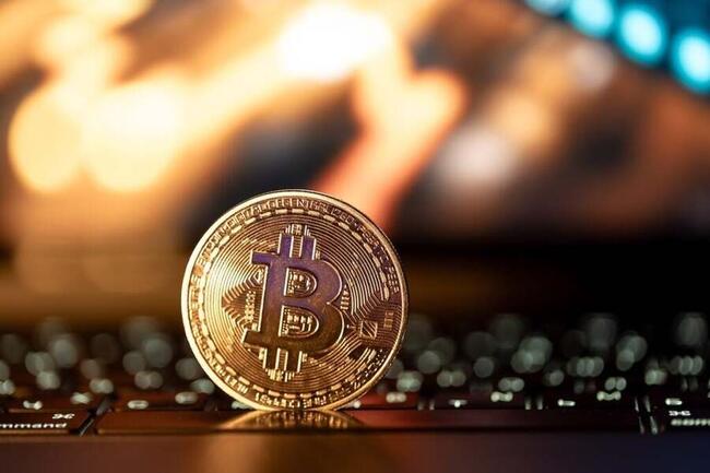 Bitcoin Is Humanity's 'Best Bet' Against Currency Debasement, Says Anthony Pompliano: 'We Owe So Much To Satoshi Nakamoto'