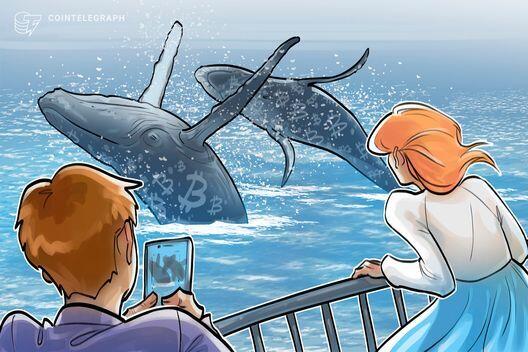 Кит эпохи Накамото переместил $4,6 млрд в биткоинах после 14 лет HODL