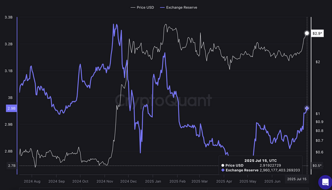 Harga XRP Bisa Turun 20% Sebelum Reli Berikutnya, Data On-Chain Menunjukkan