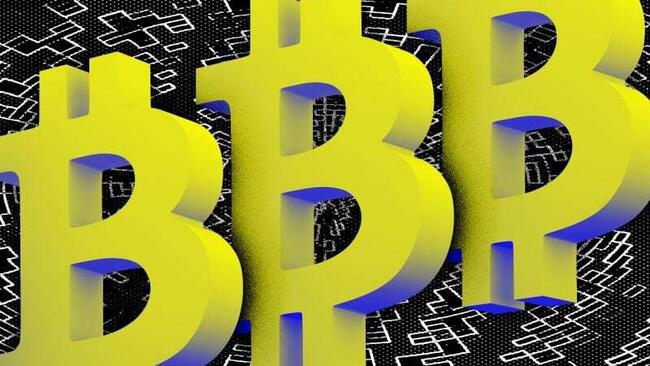 The Smarter Web Company adds $36 million in bitcoin, enters top 25 public treasuries with 1,600 BTC