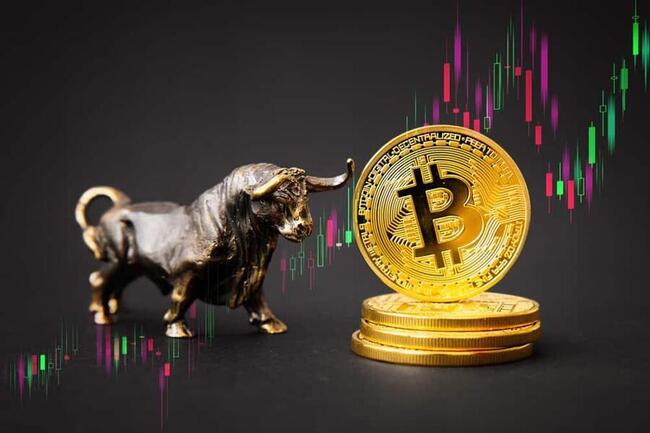 7 Bewezen strategieën voor een bullmarkt in crypto die je in 2025 moet gebruiken