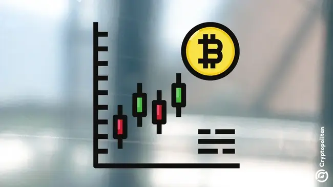 큰 모자 알트 코인은 BTC의 지배에 도전합니다