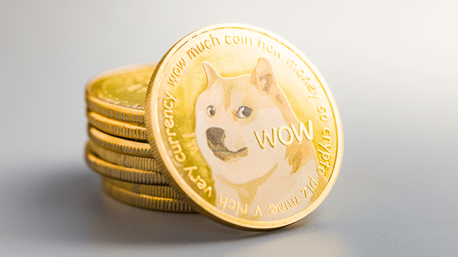 Компания, зарегистрированная на бирже Nasdaq, делает крупную ставку на DOGE с помощью массового привлечения капитала