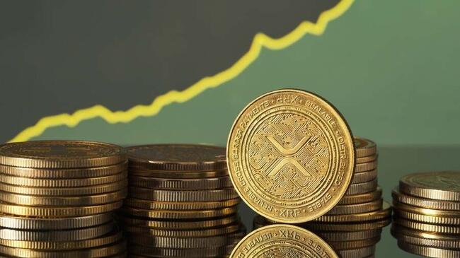 Nature Miracle startet $20 Millionen XRP Schatzkammer