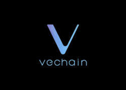 VeChain Faces Crucial Test at Amid Market Recovery Hopes