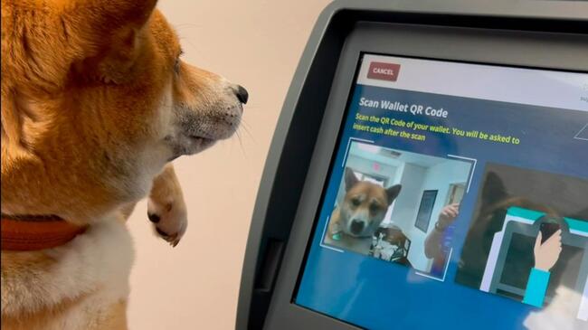 Alig bírják megfékezni a kripto ATM-es csalásokat