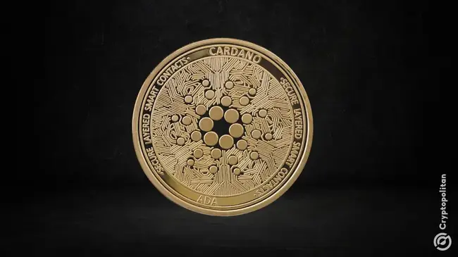 Cardano -Community gibt grünes Licht für Finanzierung zur Unterstützung von Netzwerk-Upgrades