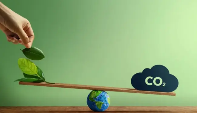 Moss: como o “promissor” token verde que já valeu R$ 100 despencou para zero
