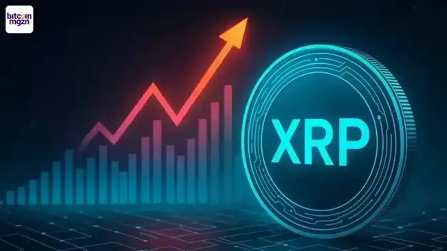 Hoe BlackRock en Ripple al samenwerken, zonder dat we het doorhebben