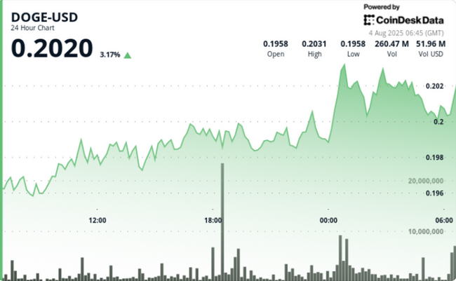 Il Rally di DOGE Si Ferma a 20 Cent, Ma l’Attività dei Grandi Detentori Mostra Segnali Rialzisti