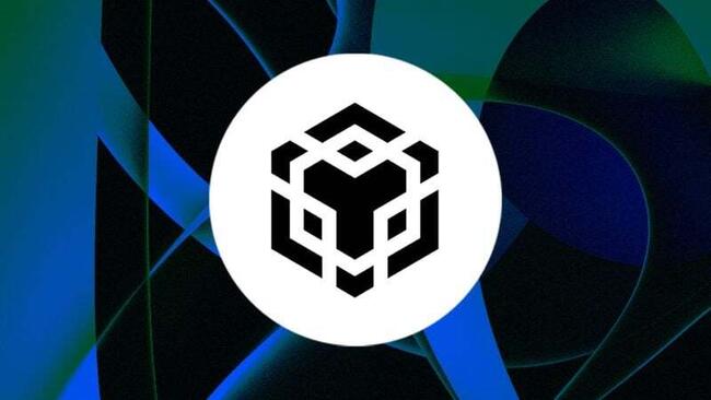 CEA Industries closes $500 million raise to launch BNB treasury strategy, led by YZi Labs
