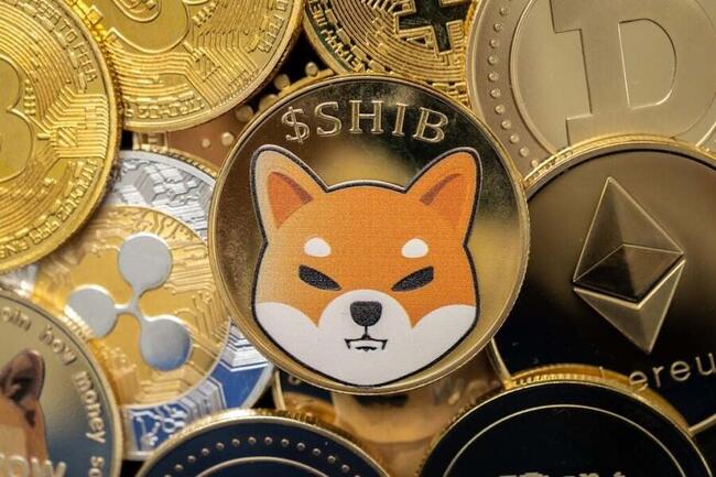 Shiba Inu's Next Leader To Be Picked In A US-Style Election, Says Shytoshi Kusama