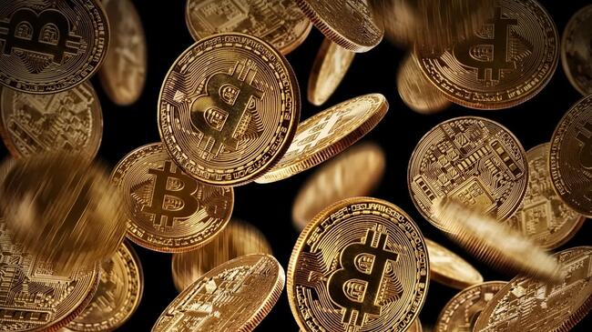 比特幣「流通速度」觸及 10 年低點，對未來發展有何影響？