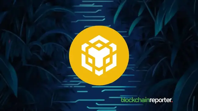BNB Enters Price Discovery After Record-Breaking Rally, Dominates Exchange Tokens