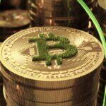 ビットトレードと北紡、環境関連トークン構想で提携