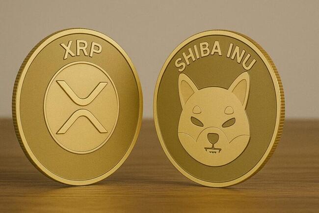 ChatGPT en Gemini zijn het eens – 3x groei voorspeld voor XRP en Shiba Inu in 2025
