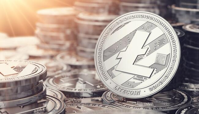 Com ETF e tesourarias no radar, Litecoin sobe e reacende expectativas