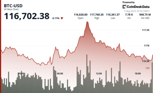 Bitcoin segue l’oro nel 2025 ma domina i rendimenti a lungo termine tra le principali classi di asset