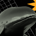 Bagaimana Crypto Whale Bereaksi terhadap Reli Ethereum dan Optimisme Tertinggi Sepanjang Masa