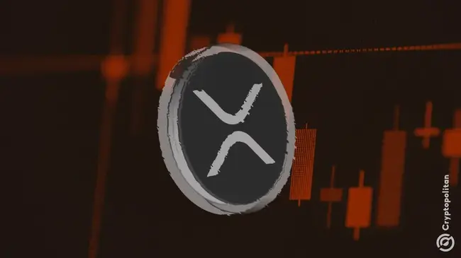 تعثرت سلسلة XRPL EVM الجانبية من Rippleفي بداية صعبة مع 100 ألف دولار فقط من TVL من 4 سلاسل