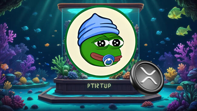 5 munten om in de gaten te houden als je de rally van Ripple (XRP) in 2021 hebt gemist