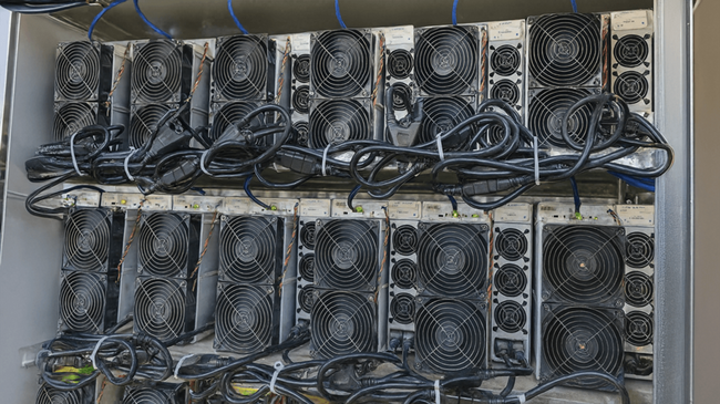 Dentro la Centrale: I 50 Minatori di Bitcoin Più Redditizi, 9-10 Agosto 2025