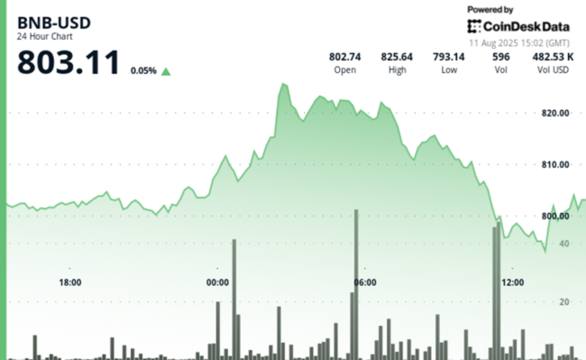 BNB коливається на 4% за 24 години, тестуючи опір на рівні $800