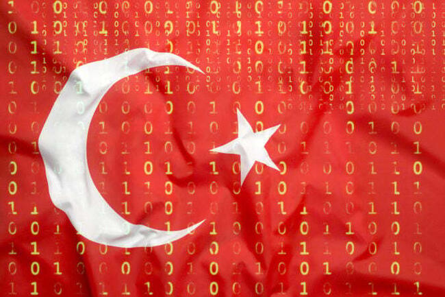 Ethereum developer ‘Fede’s intern’ freed from Turkey, pledges $500,000 to Roman Storm’s defense