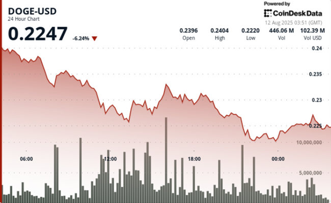 Improvviso calo del 7% spinge DOGE verso il supporto a 22 centesimi in una vendita ad alto volume