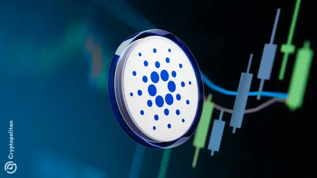 Cardano conserve le soutien des détenteurs à long terme depuis 2021