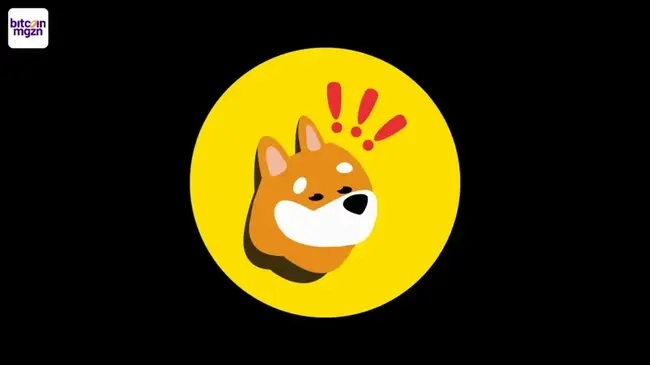 Veiligheidsstrategie met memecoin Bonk in corporate treasury