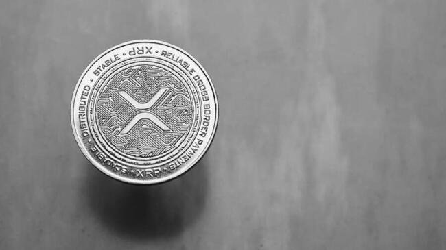 Отчет Bitso: XRP поднимается как темная лошадка в портфелях Латинской Америки
