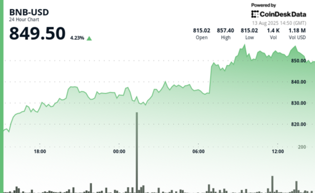 BNB Nears Record High as Corporate Buyers Spur 4% Rally