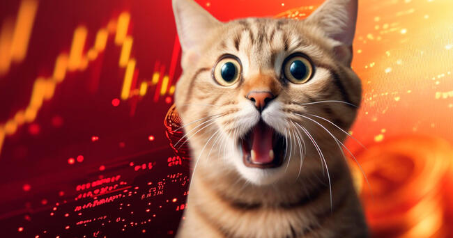 Alta do Ethereum faz memecoins da Solana colapsarem