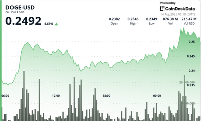 DOGE підскочив на 7% через купівлю китом на $200 млн, тоді як ставки на ф’ючерси перевищили $3 млрд