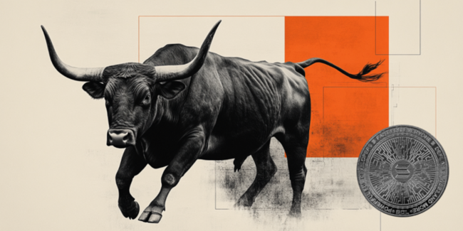 Solana weitet Gewinne aus bei rekordhohem Open Interest, USDC-Adoption und bullishen IPO