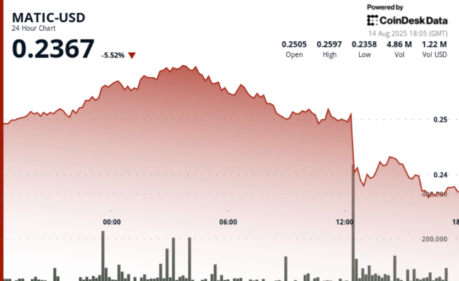 Il POL di Polygon Scende del 6% Mentre lo Shock dell'Inflazione Scatena una Forte Vendita