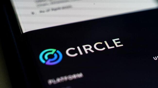 Circle рекламирует годовой доход в размере $658 миллионов, несмотря на падение результатов во втором квартале