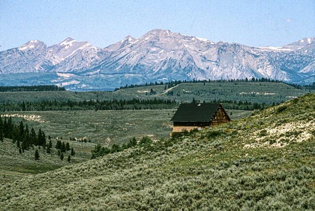 What Wyoming’s Frontier Token Means For Stablecoin Adoption