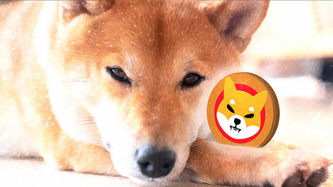 Shiba Inu Belirsizliğe Gömüldü: Felaket Senaryosu Yatırımcıyı Korkutuyor