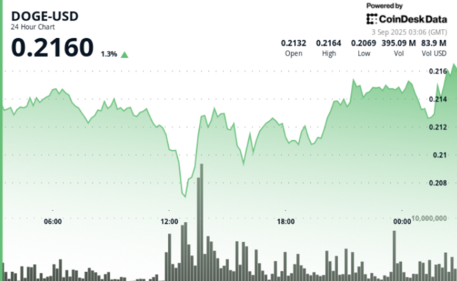 Dogecoin rebounds from midday selloff as whale accumulation and ETF speculation drive heavy trading activity.