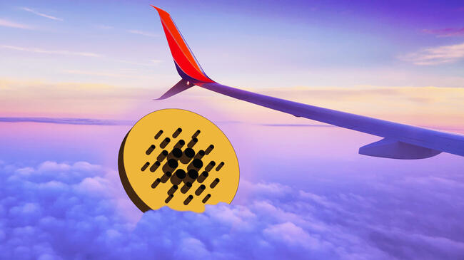 Ripple, ADA Coin ve 6 Kripto Devinin 1,5 Saatlik SEC Toplantısı