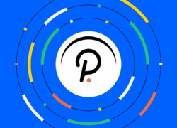 Polkadot Votes on Bold Plan for Its Own Algorithmic Stablecoin