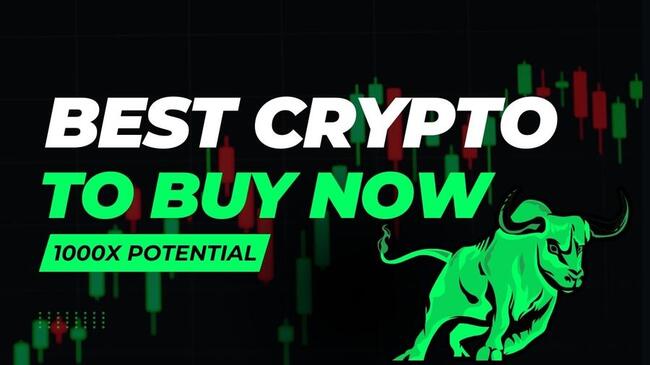 Best Crypto With High Potential You’ve Probably Overlooked