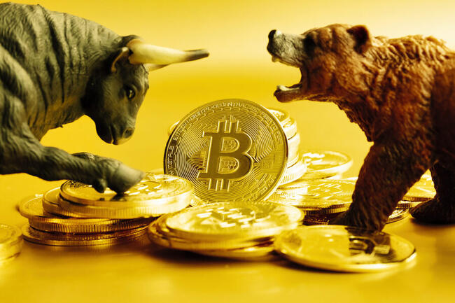 MICA Daily｜BTC 晚間跌破 12 萬，全網單日爆倉近 7.4 億美元